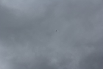 e0135073_10271797.jpg