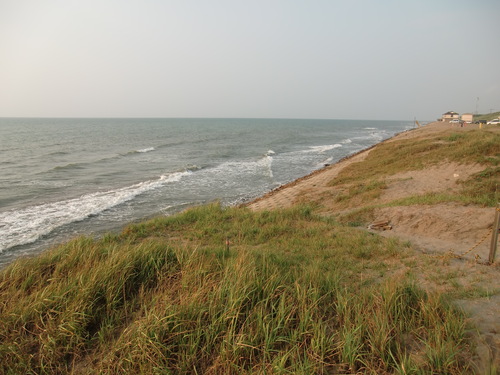f0225473_2151441.jpg