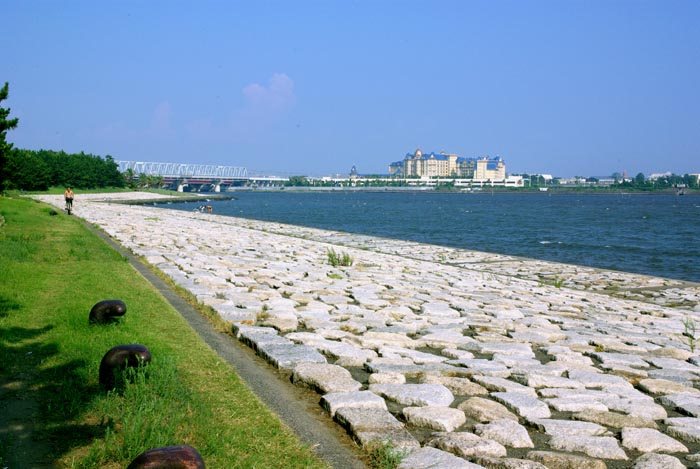 a0196876_082720.jpg
