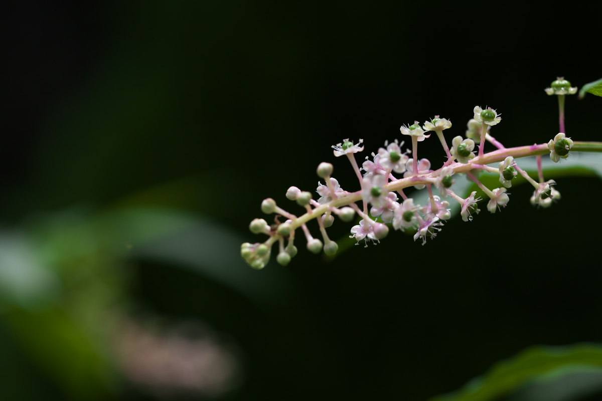 a0083081_17453310.jpg