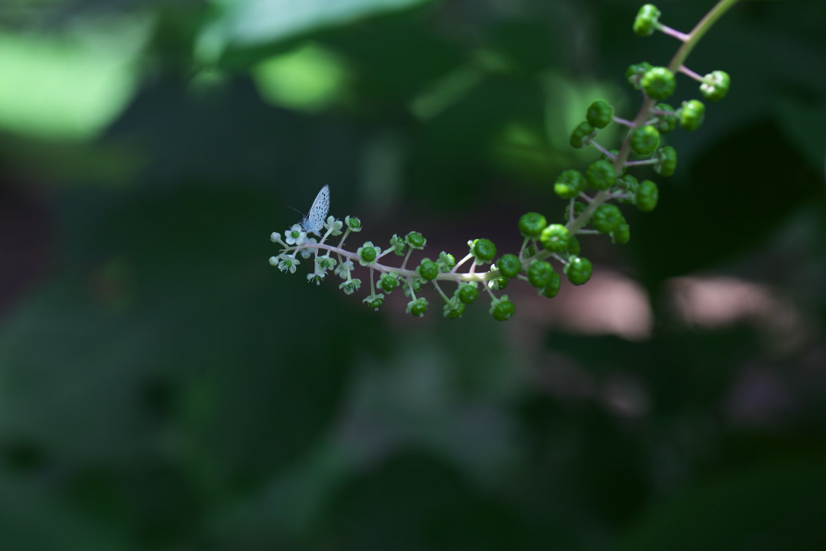 a0083081_17455448.jpg