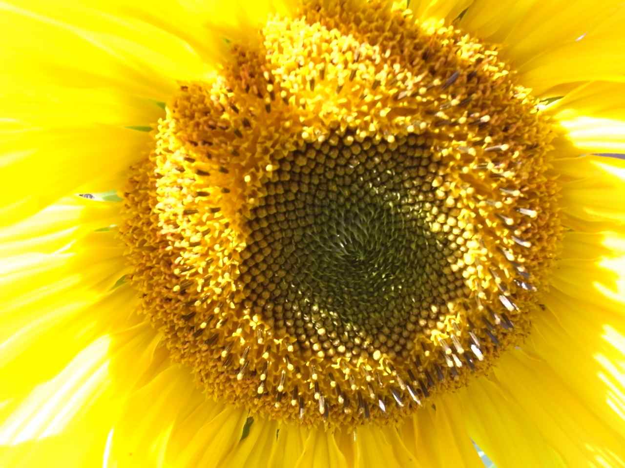 d0170682_8325210.jpg