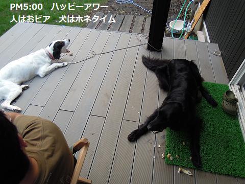 f0045283_12594648.jpg