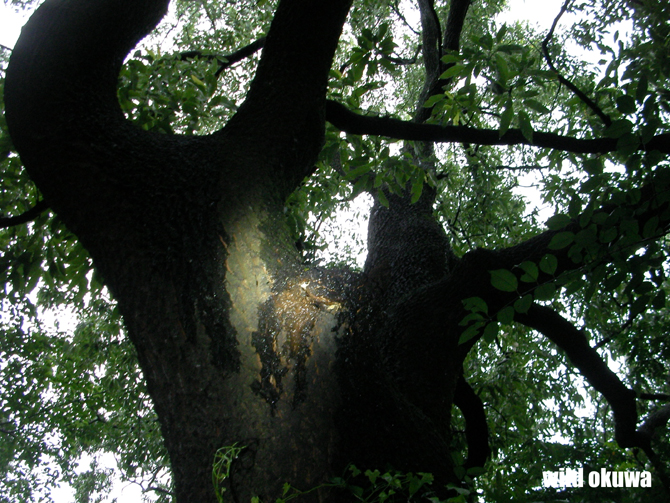 f0183484_22524373.jpg