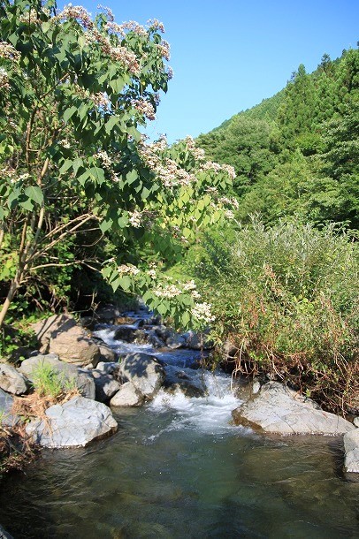 f0238184_0362260.jpg