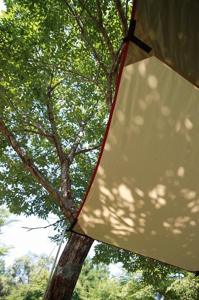 f0238184_043069.jpg