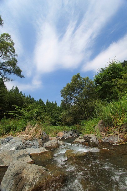 f0238184_1224351.jpg