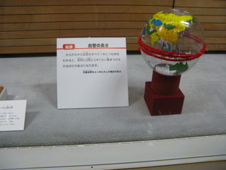 e0165285_16553079.jpg