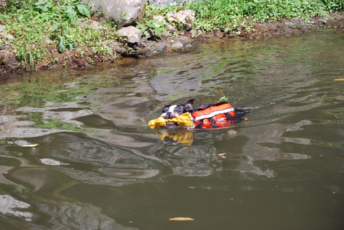 c0092787_14333339.jpg