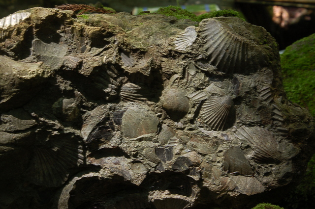 b0203588_20165047.jpg