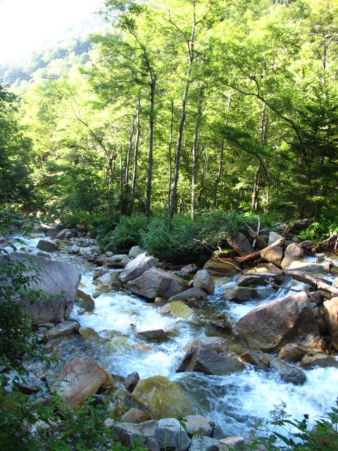 c0171790_22314172.jpg