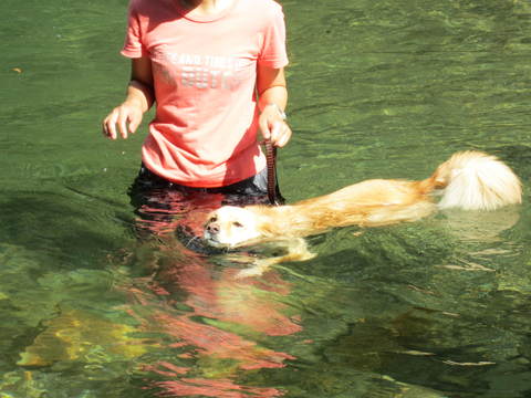 c0196992_1339191.jpg
