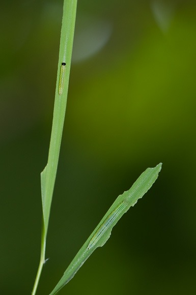 b0194593_4231014.jpg