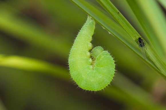 b0194593_42337100.jpg