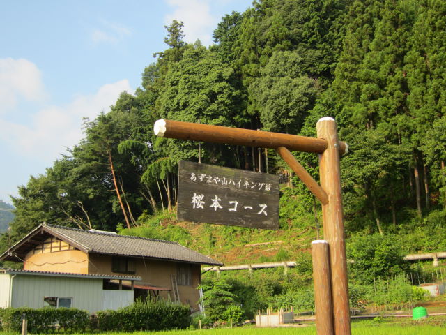 d0098295_171534100.jpg