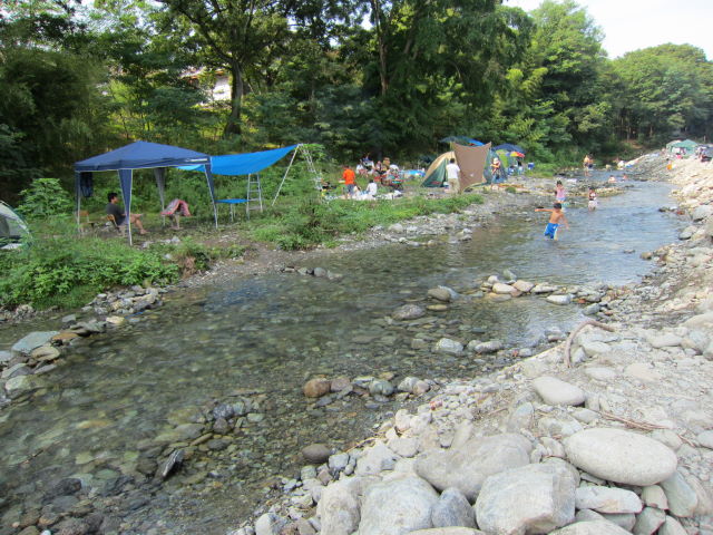 d0098295_17251238.jpg