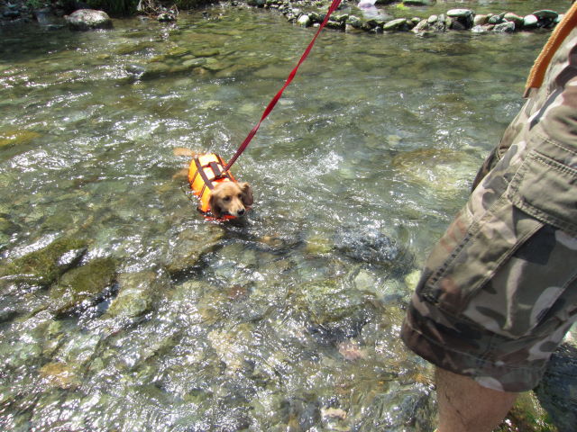 d0098295_17422813.jpg