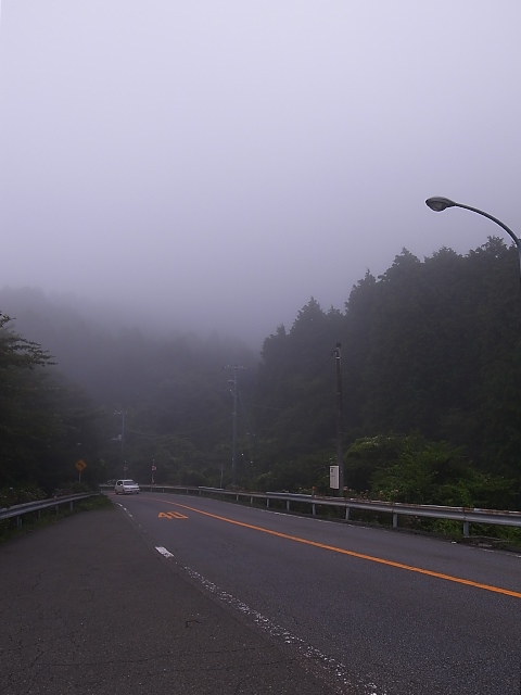 d0081997_20142744.jpg