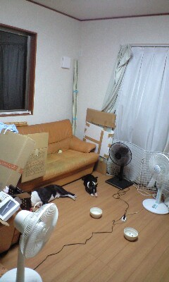 c0094999_2331641.jpg