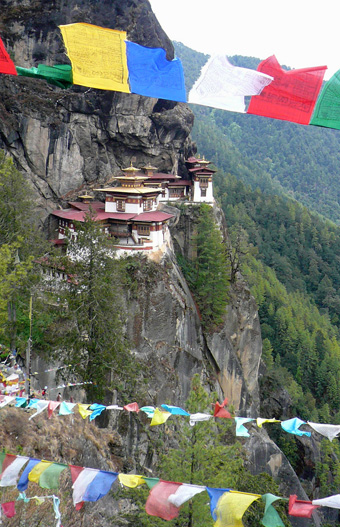 e0054299_1645086.jpg