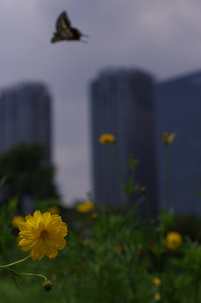 d0171803_8194145.jpg