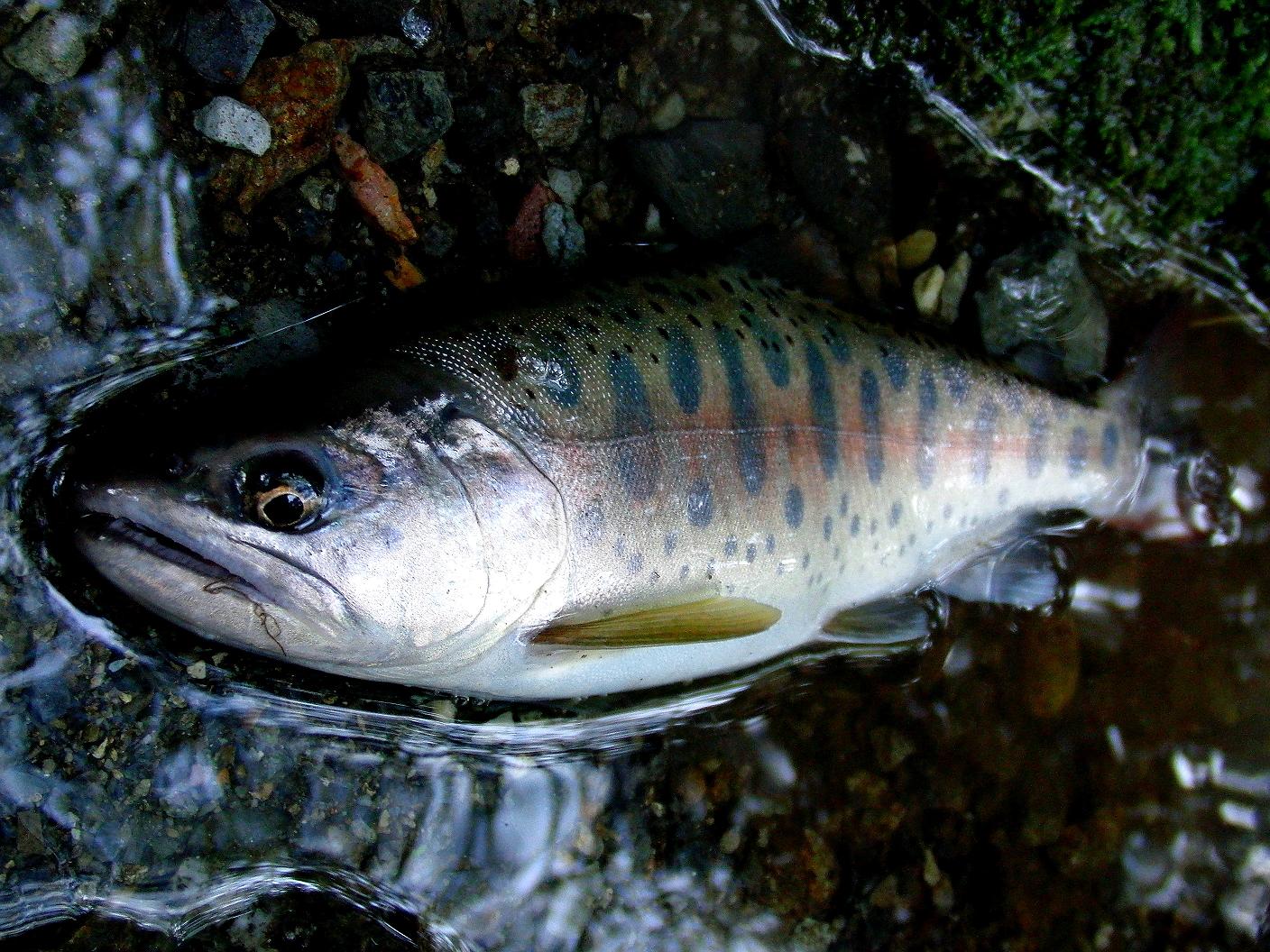 d0126708_1504842.jpg