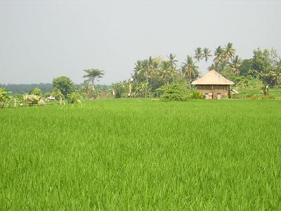 e0087008_8593770.jpg
