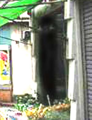 e0103408_11344295.jpg
