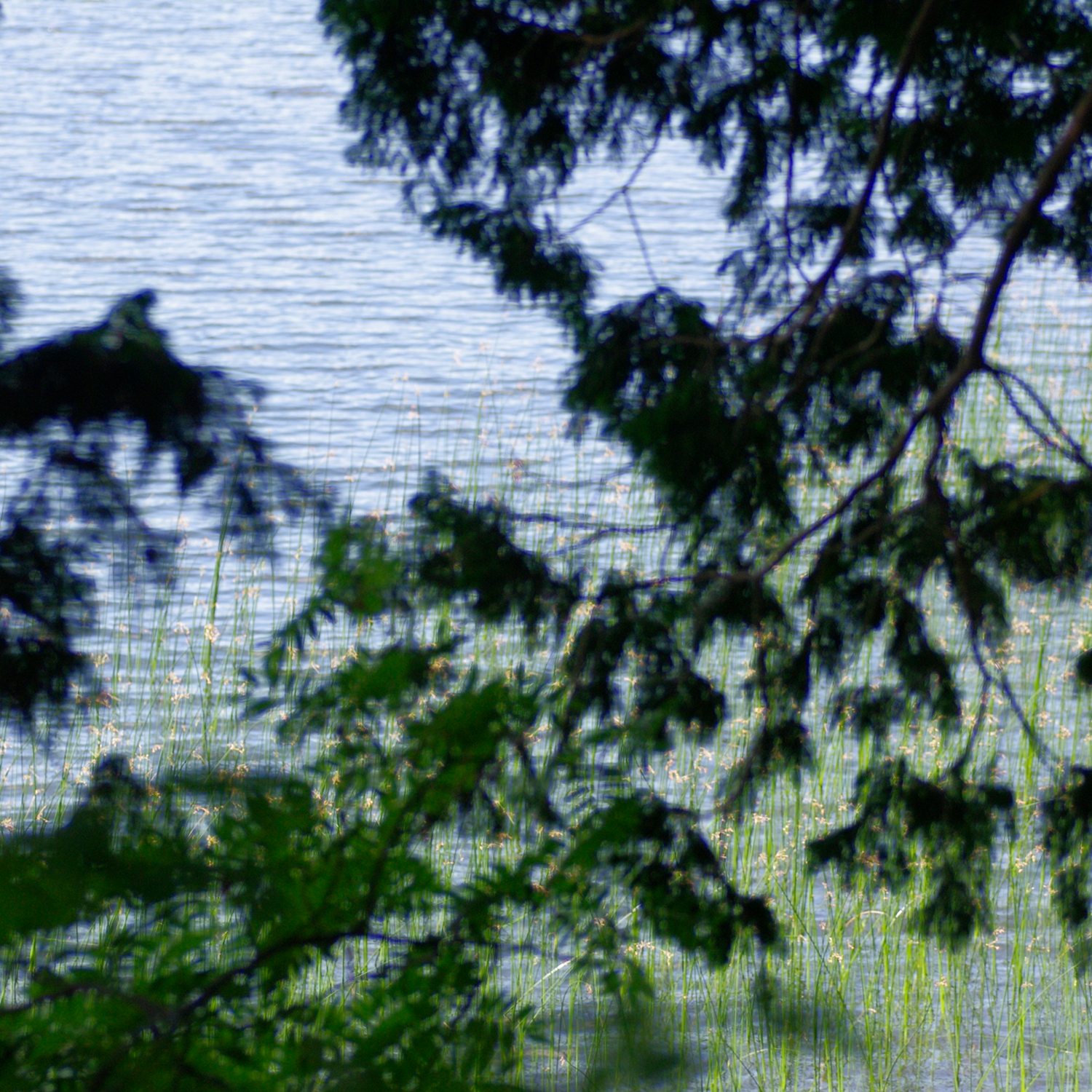 e0142611_8341333.jpg