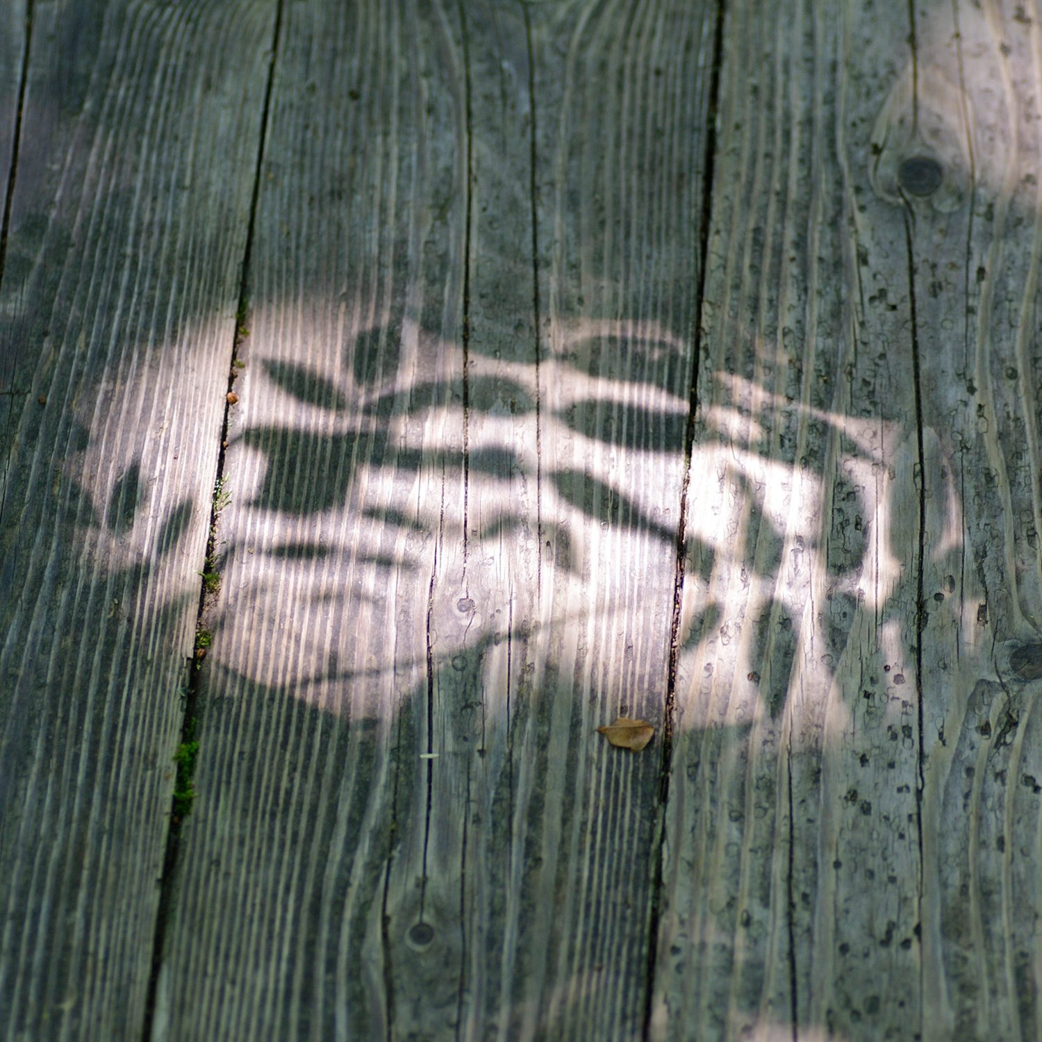 e0142611_8353191.jpg