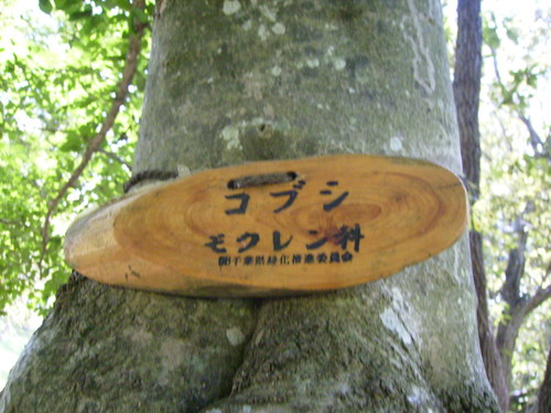 f0208812_11225077.jpg