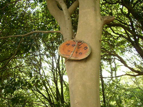 f0208812_1122733.jpg