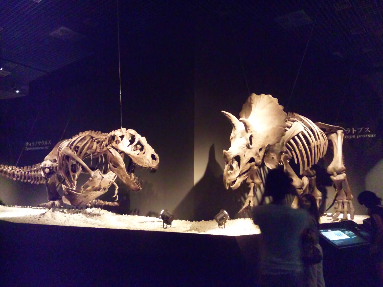 d0109213_19164634.jpg