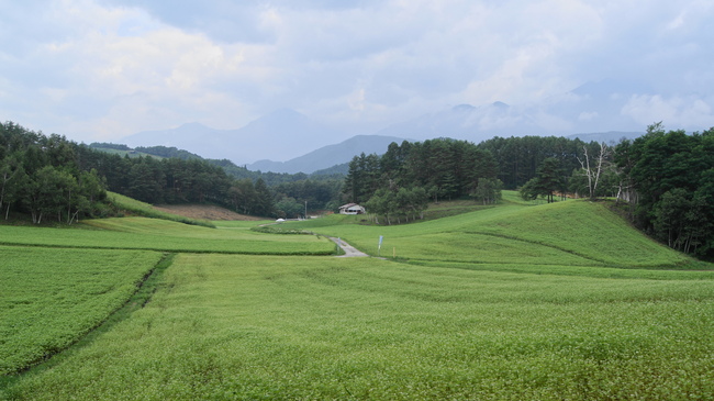 f0233414_23244565.jpg