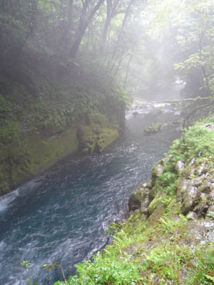 c0227720_014189.jpg