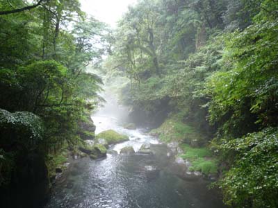 c0227720_04079.jpg