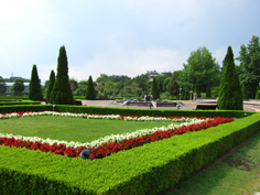 a0137223_225349100.jpg