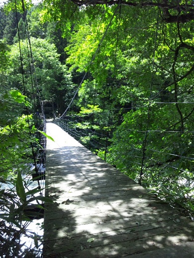 b0199924_16322896.jpg