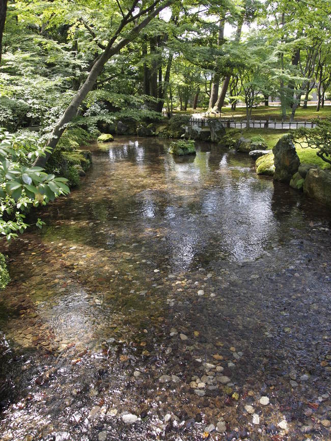 c0000134_0122717.jpg