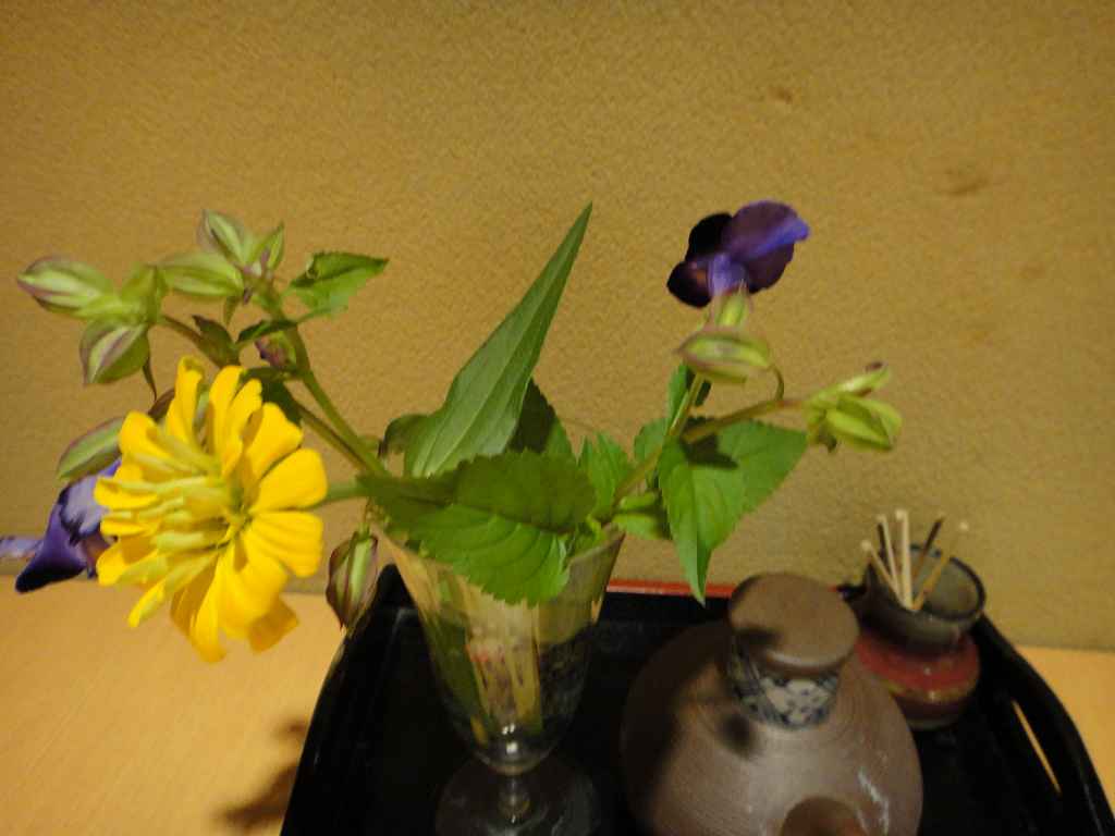 f0208737_8471117.jpg
