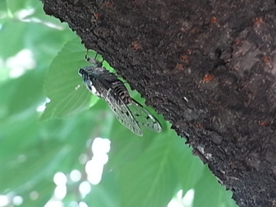 b0019140_12572865.jpg