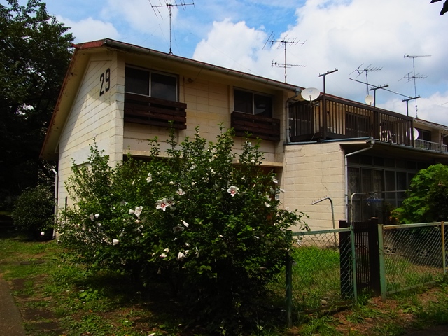 a0087341_0183659.jpg