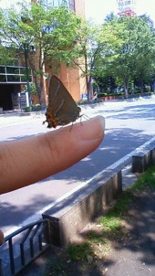 f0153946_20463015.jpg