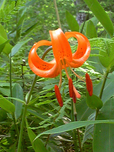 f0214649_9405399.jpg