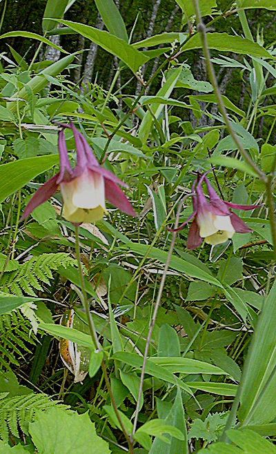 f0214649_9425835.jpg