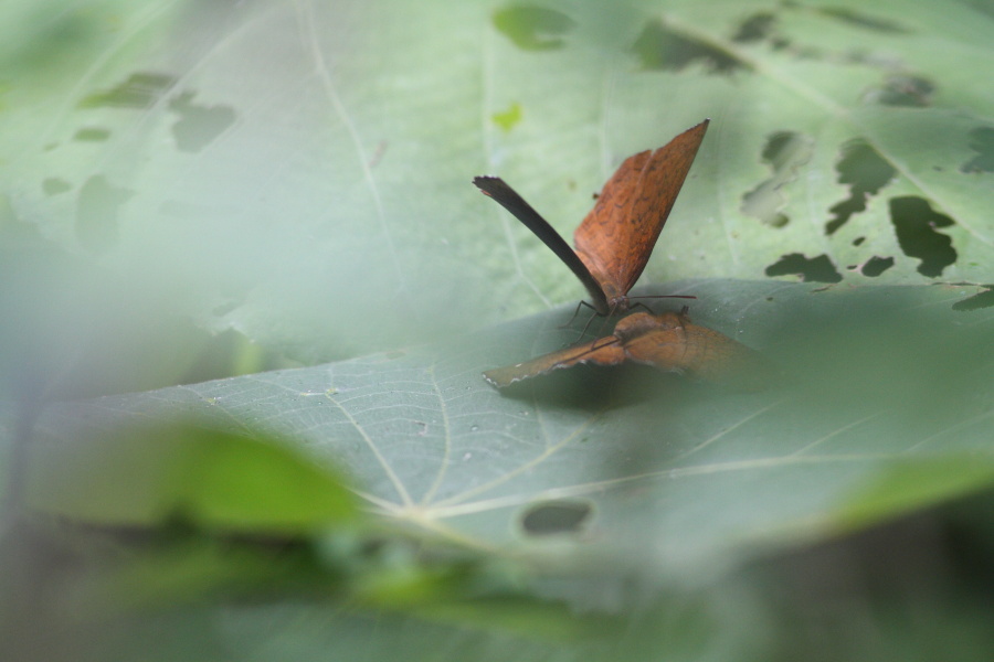 a0094850_12294960.jpg