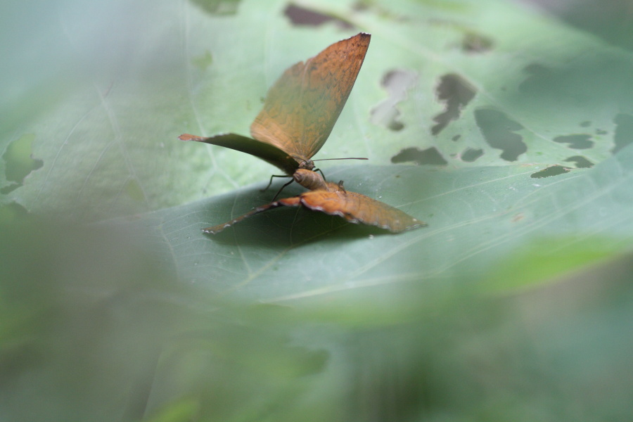 a0094850_12302635.jpg
