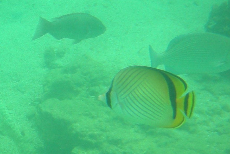 c0143750_10371330.jpg