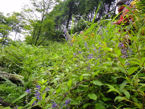 c0179351_10251111.jpg