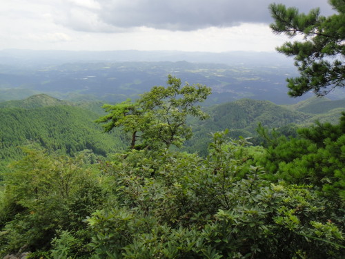 c0179351_1726062.jpg